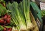 Onions Spring  (bunch) - 